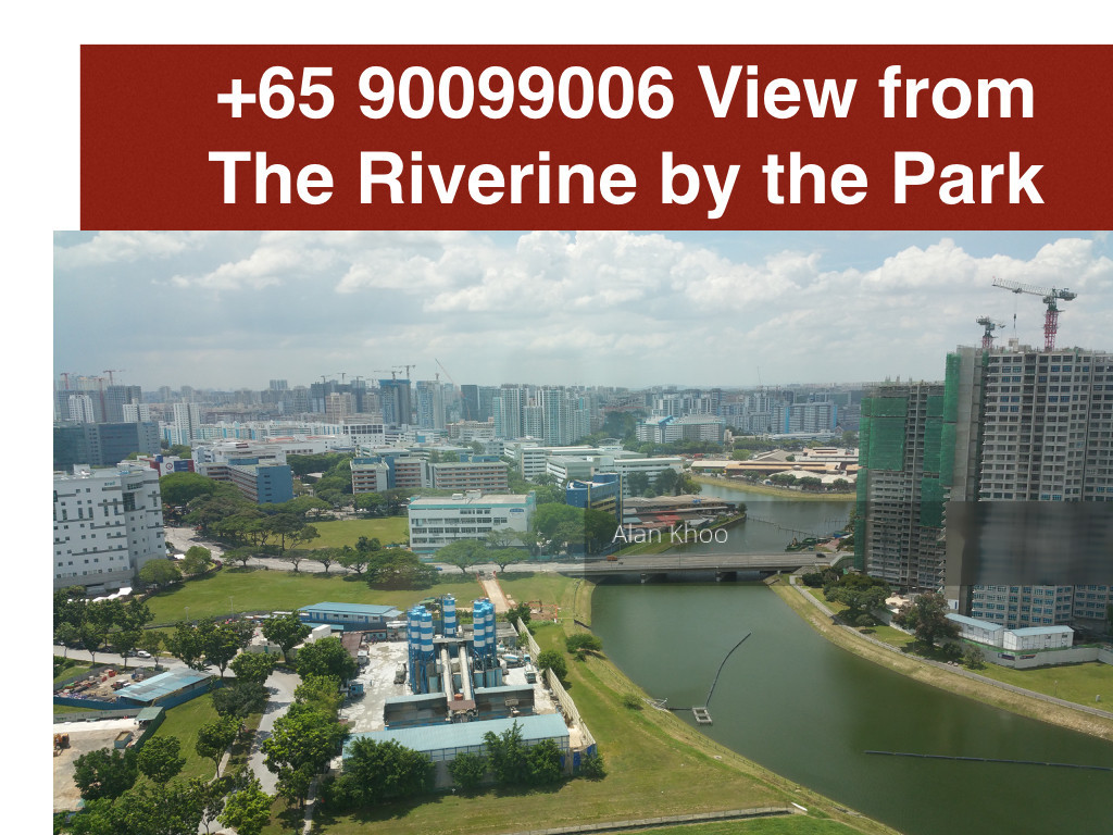 The Riverine By The Park (D12), Apartment #156975962